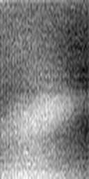 1516015364_1 @ 1.01 µm