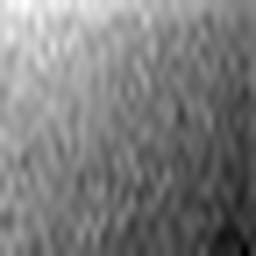 1546005995_1 @ 1.01 µm