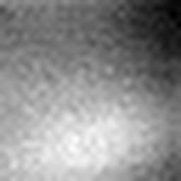 1554945010_1 @ 1.01 µm