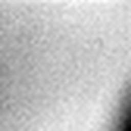 1557712491_1 @ 1.01 µm