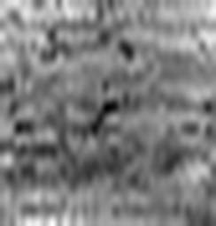 1814930124_1 @ 1.01 µm