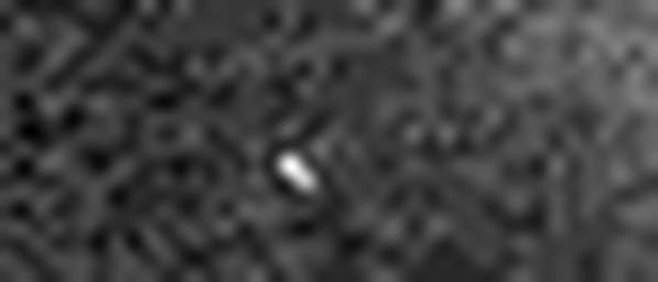 1484581364_1 @ 1.78 µm