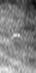 1556118849_1 @ 1.78 µm