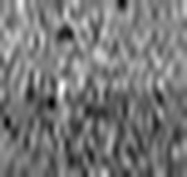 1558980317_1 @ 1.78 µm