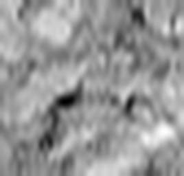 1567130788_1 @ 1.78 µm