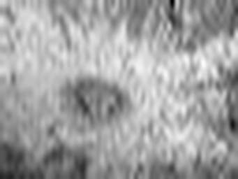 1567132446_1 @ 1.78 µm