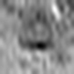 1637520037_1 @ 1.78 µm