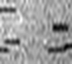 1639071389_1 @ 1.78 µm