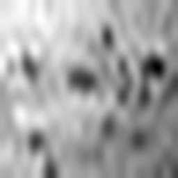 1646172388_1 @ 1.78 µm