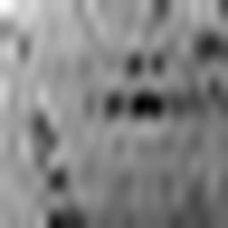 1646183427_1 @ 1.78 µm