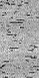 1645114395_1 @ 1.78 µm