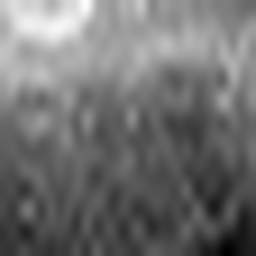 1662199963_1 @ 1.78 µm