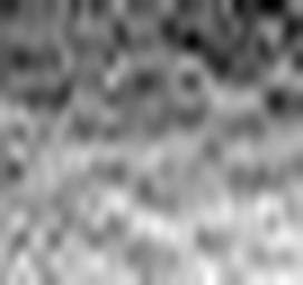 1713137431_1 @ 1.78 µm