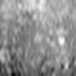 1714686246_1 @ 1.78 µm