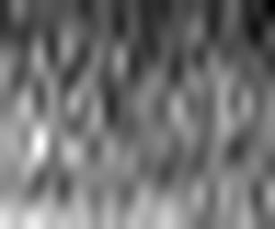 1876486564_1 @ 1.78 µm