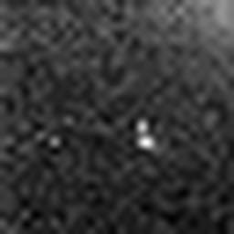 1514173442_1 @ 2.0017 µm