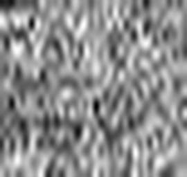 1558980317_1 @ 2.0017 µm