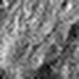 1568126709_1 @ 2.0017 µm