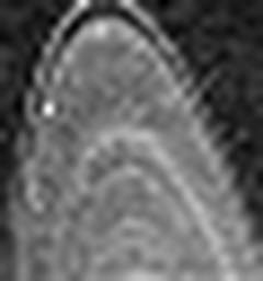 1630574870_1 @ 2.0017 µm