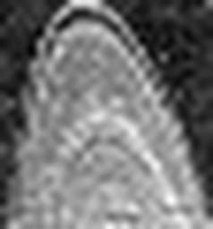 1630661177_1 @ 2.0017 µm