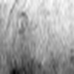 1646247740_1 @ 2.0017 µm