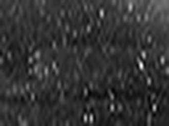 1671555622_1 @ 2.0017 µm