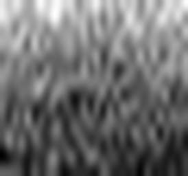 1853509564_1 @ 2.0017 µm