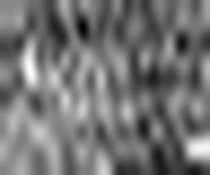 1875939566_1 @ 2.0017 µm