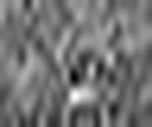 1876471660_1 @ 2.0017 µm