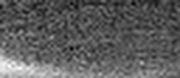 1643404088_1 @ 2.03 µm