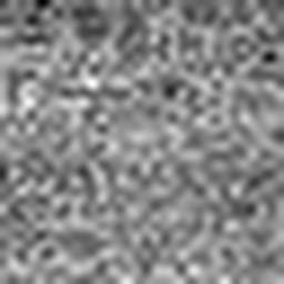 1780396795_1 @ 2.03 µm