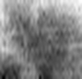 1814926239_1 @ 2.12 µm