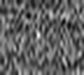 1496994839_1 @ 3.0969 µm