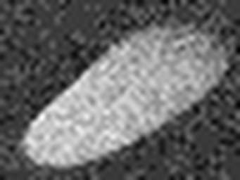 1507737791_1 @ 3.0969 µm