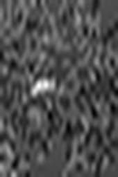 1510681916_1 @ 3.0969 µm