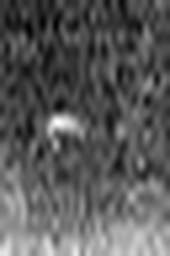 1510773022_1 @ 3.0969 µm