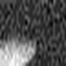 1514085091_1 @ 3.0969 µm