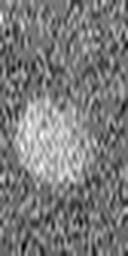 1516208077_1 @ 3.0969 µm