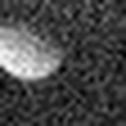 1534506270_1 @ 3.0969 µm