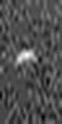 1543874678_1 @ 3.0969 µm