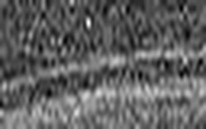 1552804312_1 @ 3.0969 µm