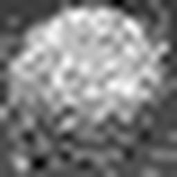 1558979508_1 @ 3.0969 µm