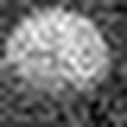 1558979621_1 @ 3.0969 µm