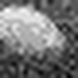 1558979690_1 @ 3.0969 µm