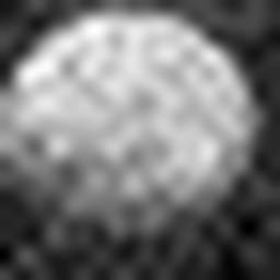 1558980919_1 @ 3.0969 µm