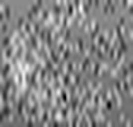 1558902766_1 @ 3.0969 µm