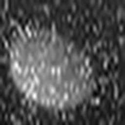 1558909602_1 @ 3.0969 µm