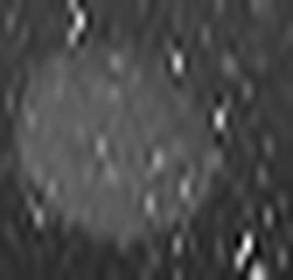 1558912662_1 @ 3.0969 µm