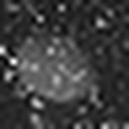 1558912918_1 @ 3.0969 µm