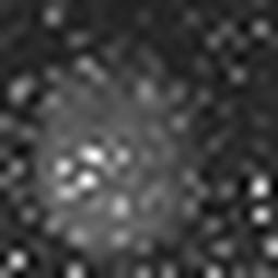 1558913386_1 @ 3.0969 µm